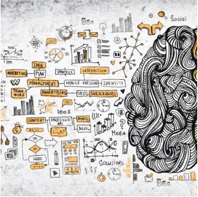 Sosyal Bilimlerde Araştırma